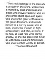 Icon of Theodore Roosevelt Quote
